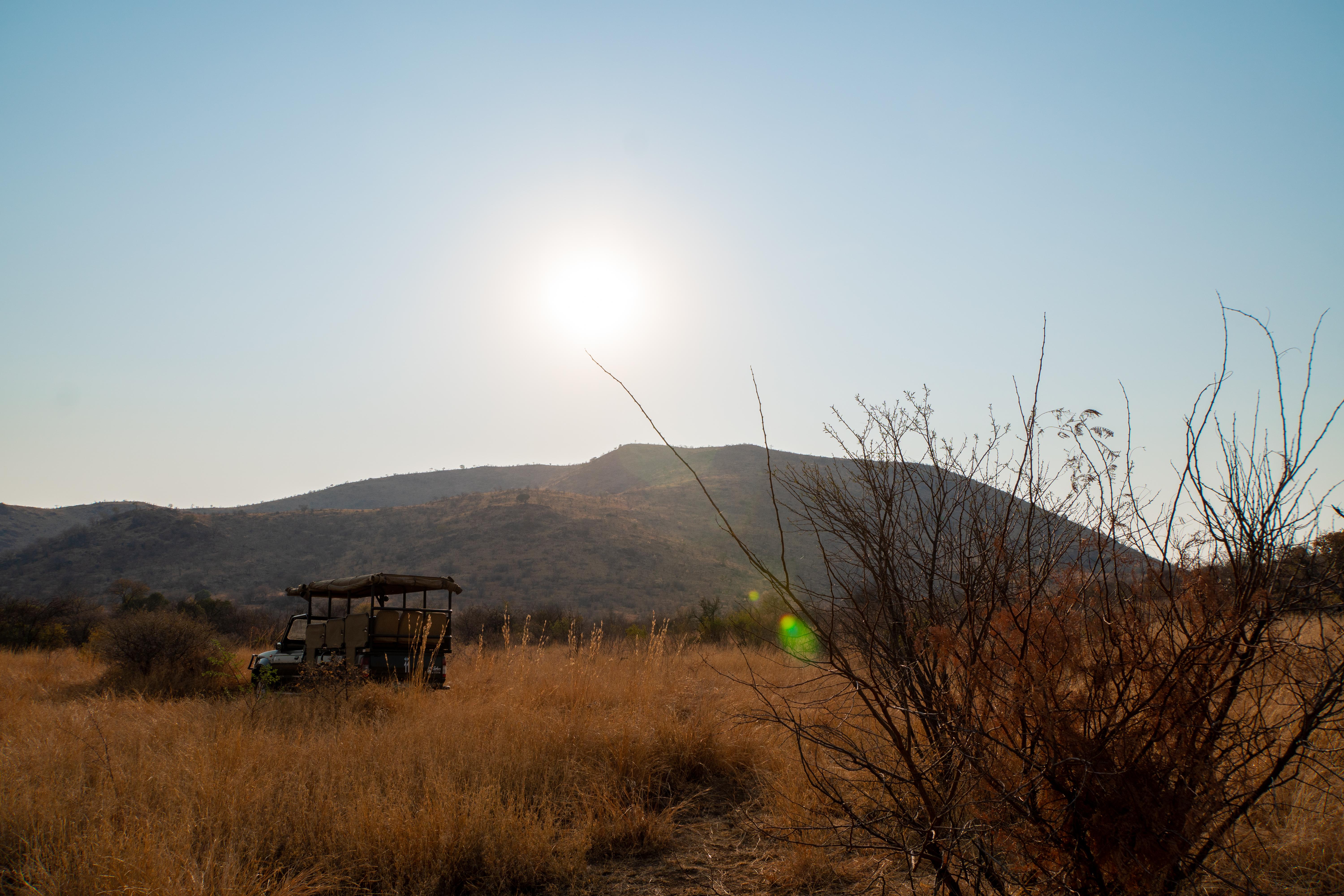 Bakubung Bush Lodge Ledig Ngoại thất bức ảnh